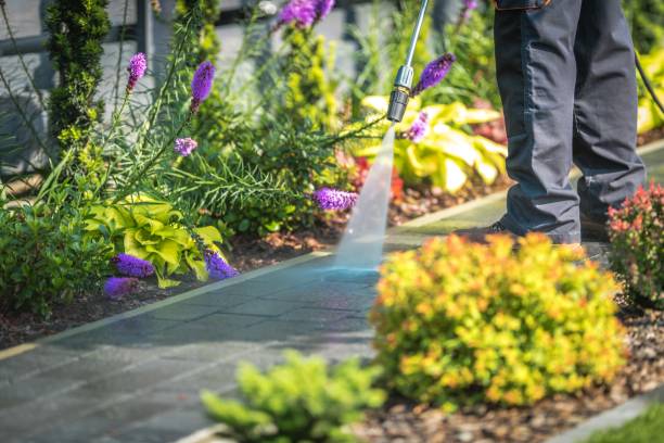 Best Winterizing Services  in Sulphur Springs, TX