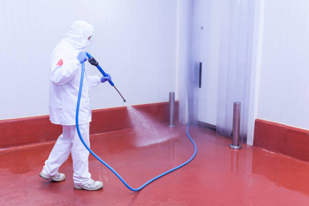 Sulphur Springs, TX Pressure Washing Services Company